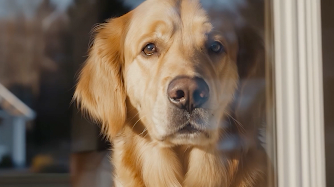 Behind the Scenes: How Ayzenberg’s Tim Schauer Created the Award ...