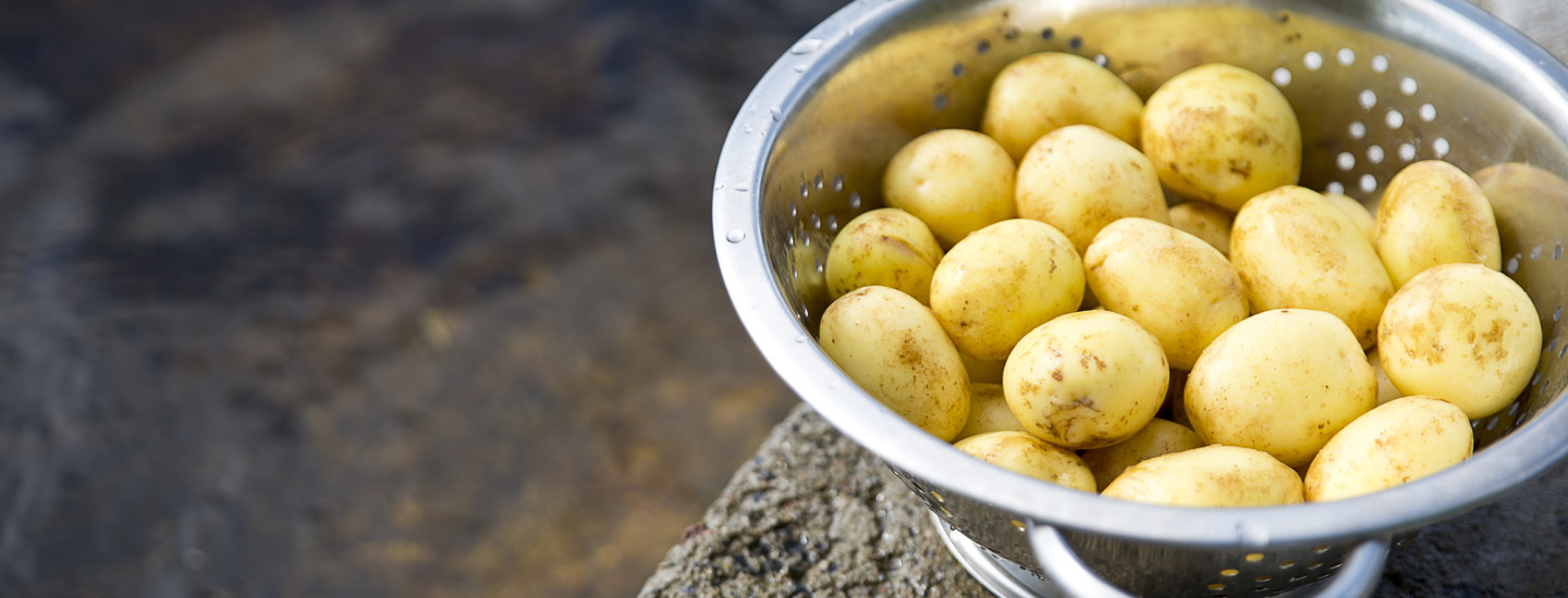 Uutta pottua suoraan ämpäristä