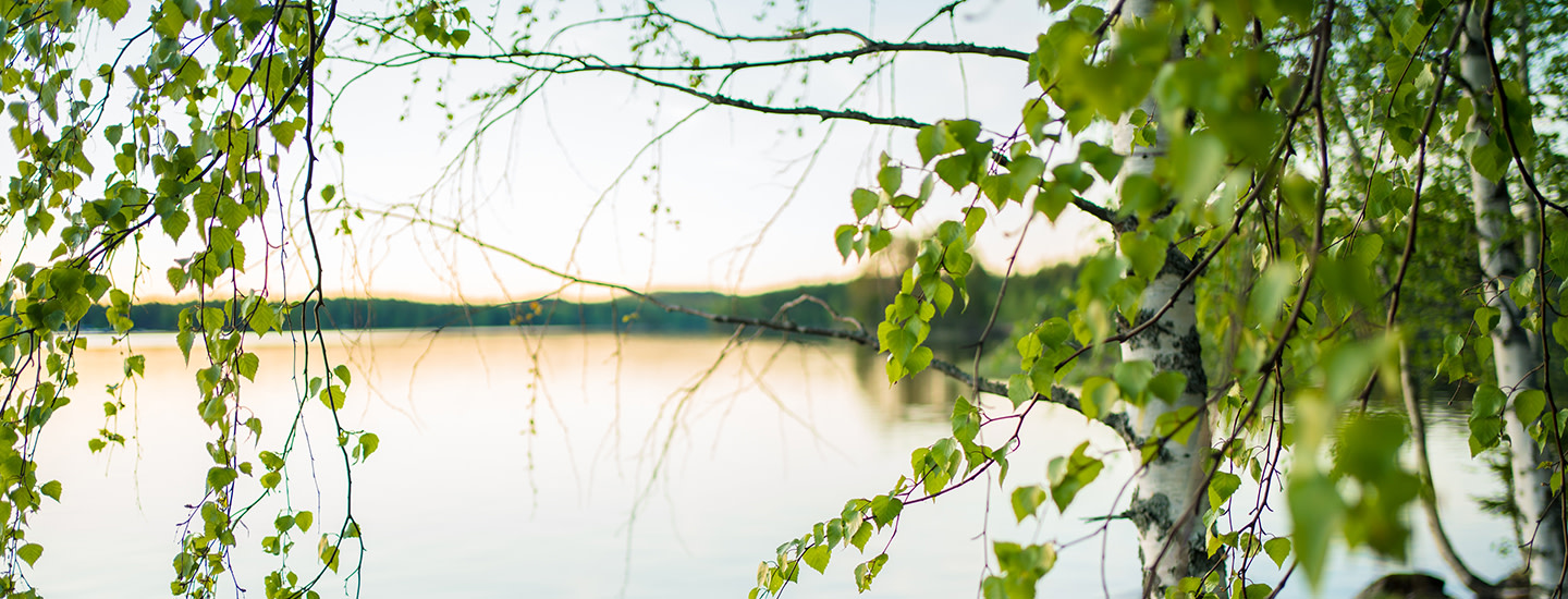Järvimaisema (1440x550)