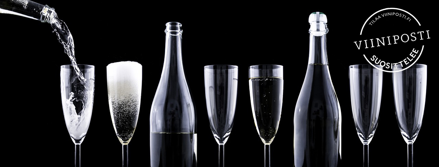 Ohjeita viinitastingiin