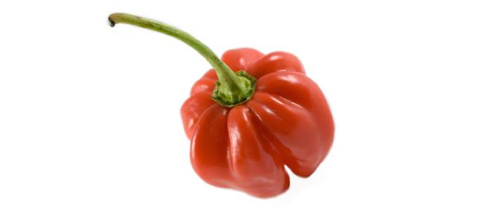 Habanero (680 x 300)