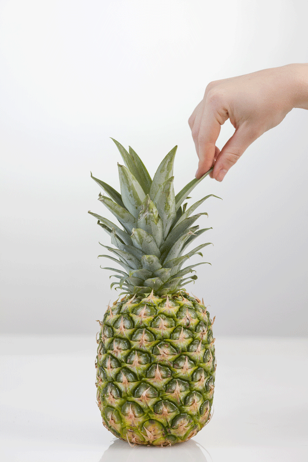 028_hedelmien_kypsyyskoulu_ananas