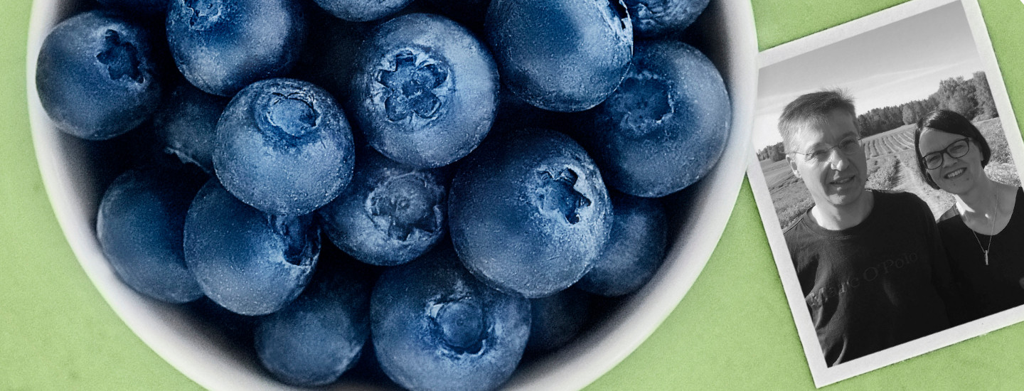 Elämää mustikkapensaiden keskellä