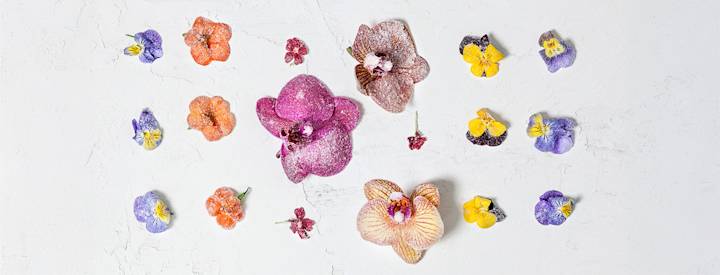 Sokeroituja ja kuivattuja syötäviä orvokin terälehtiä valkoisella taustalla.