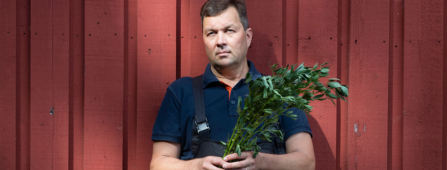 Härkis ei piittaa helteistä