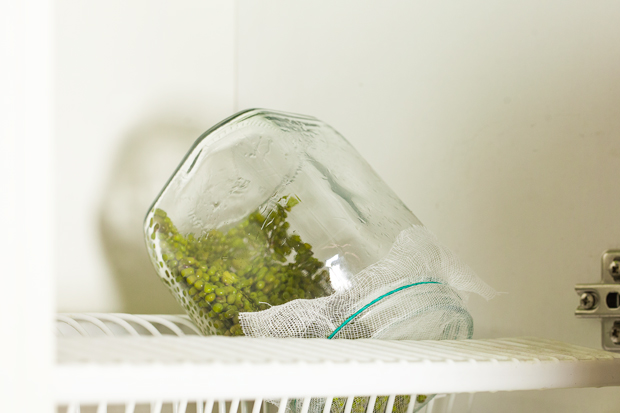 idattaminen_onnistuu_helposti_kotona_kuvituskuva_5_620