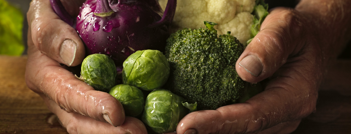 Tarinat ja tekijät lähiruoan takana