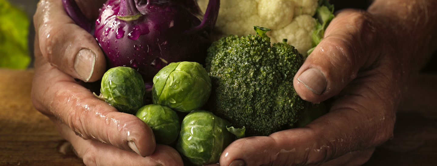 Tarinat ja tekijät lähiruoan takana