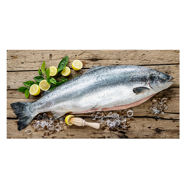 Norjan-lohi-7-kg-ylä syvätty