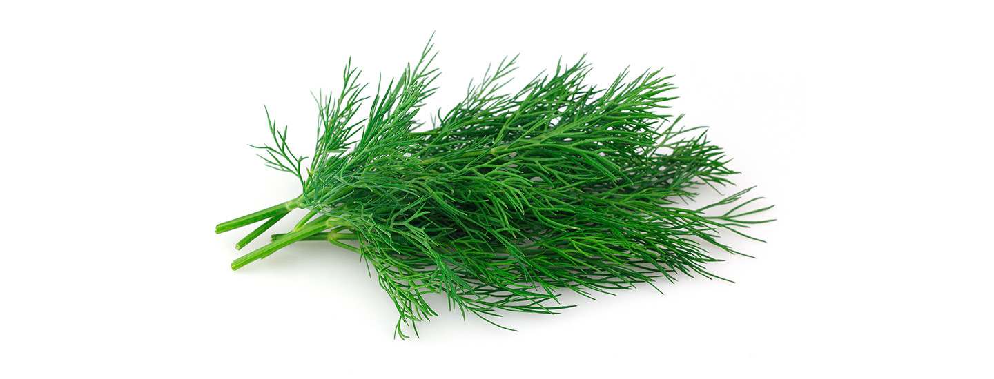 Tuoreita tillinoksia valkoisella taustalla.