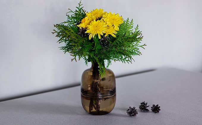 krysanteemikimput kavyt 680