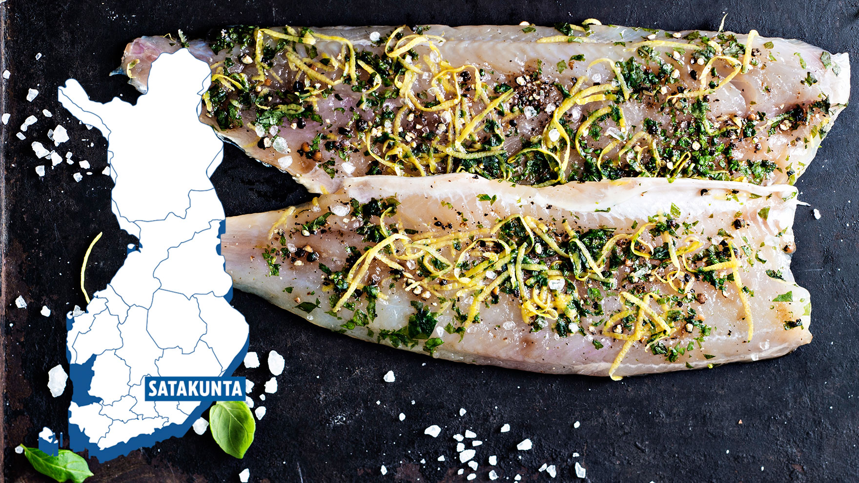 Maakuntien parhaat: Satakunta