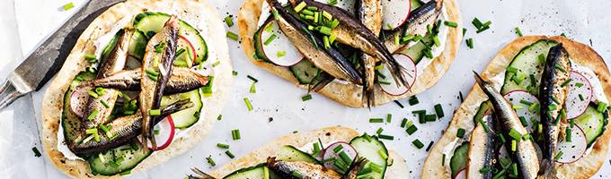 Kalasanasto kuvitus 1