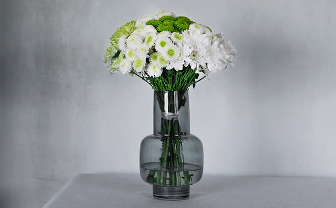 krysanteemikimput valk 680