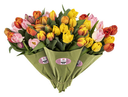 pirkka monivarinen tulppaanikimppu-2019