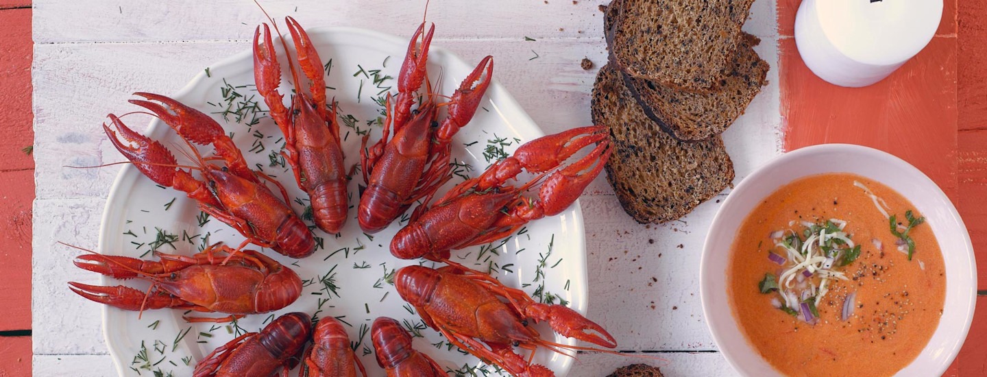 rapujen-syonti-header-image