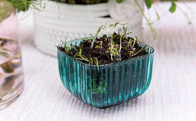 parvekelviljely idatys 680