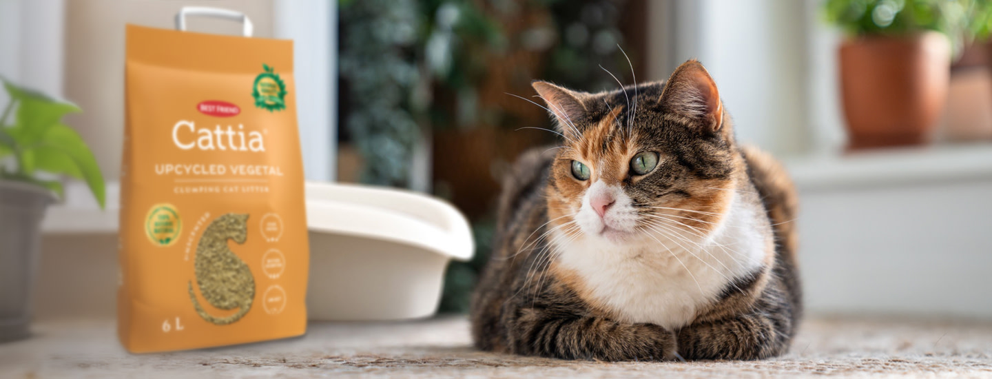 Cattia Upcycled Vegetal Kesko paakuva 1440x550