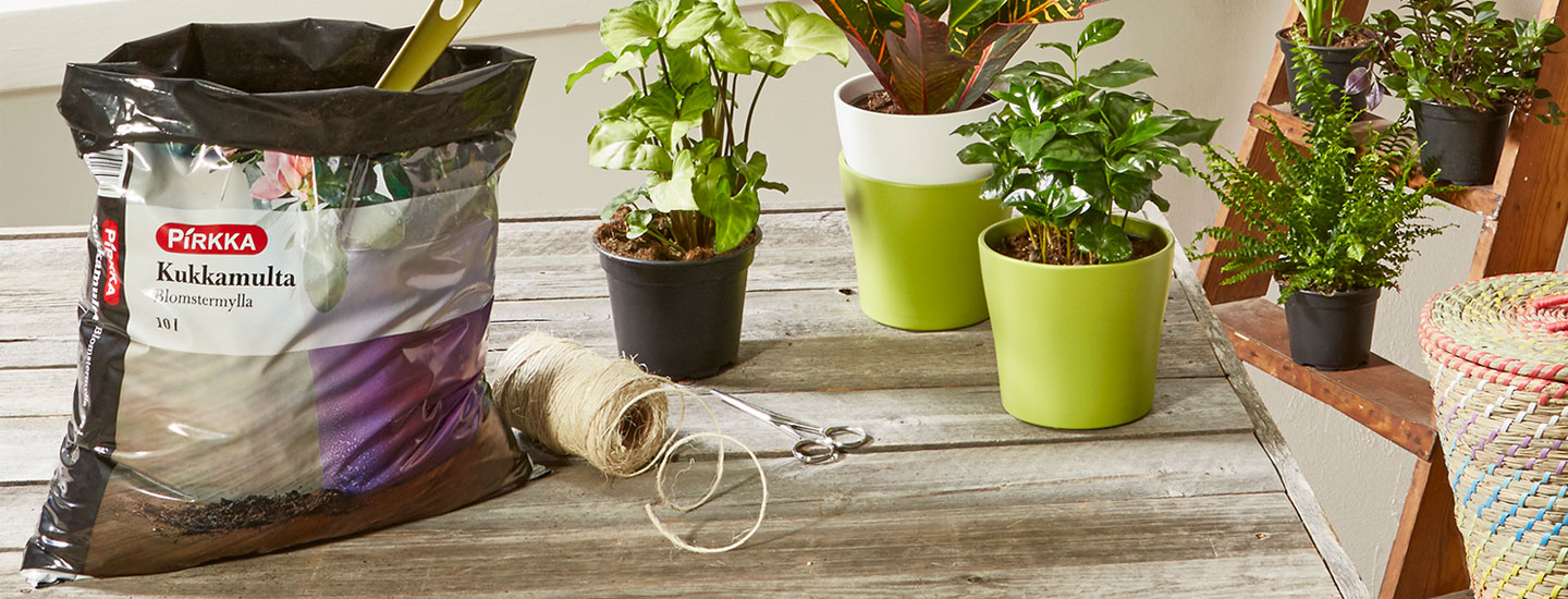 Viherkasvien mullanvaihto