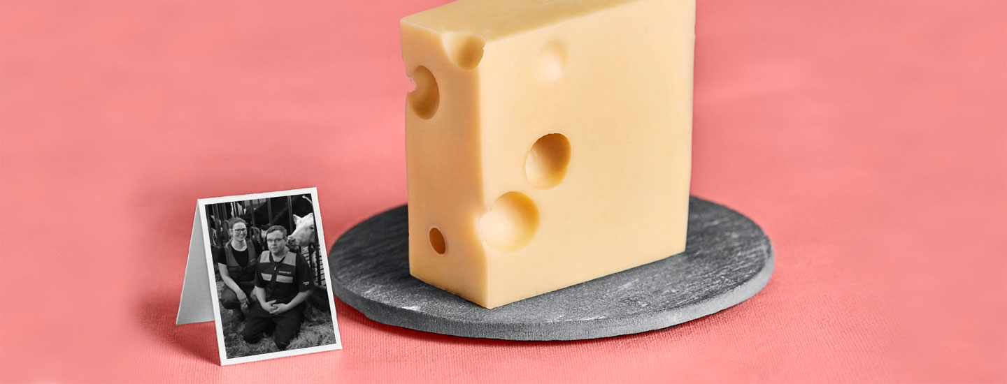 Työkavereina lehmät