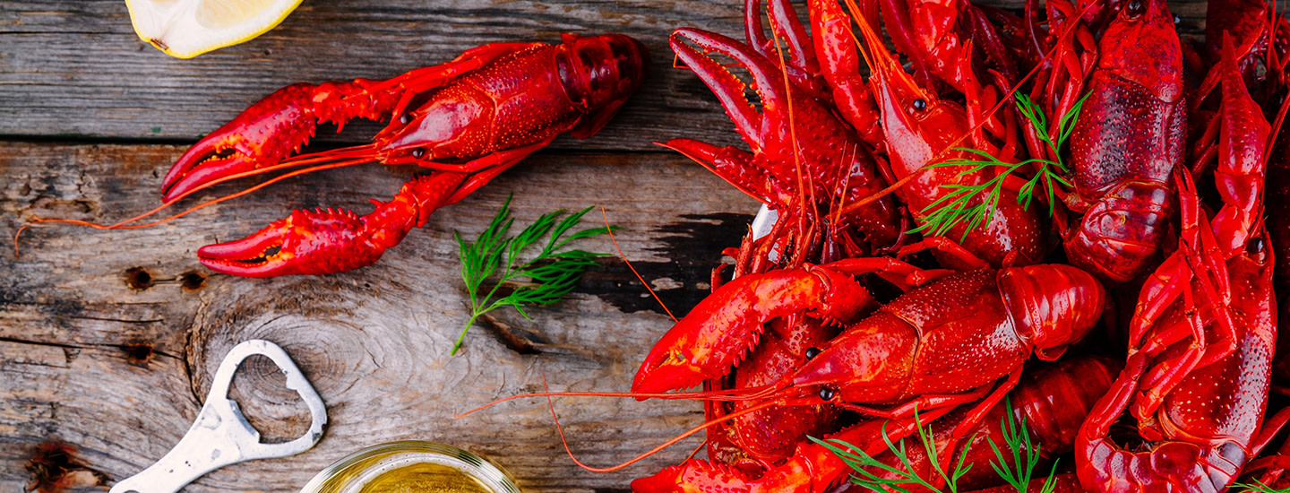 Rapujuhlien menu cover