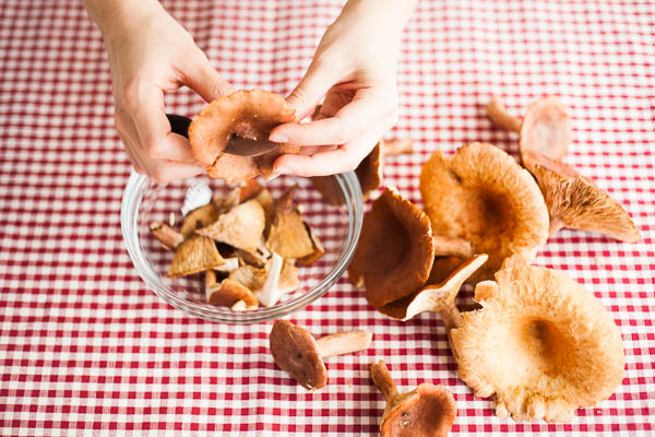 178_suolasienet_kuvituskuva_620-2