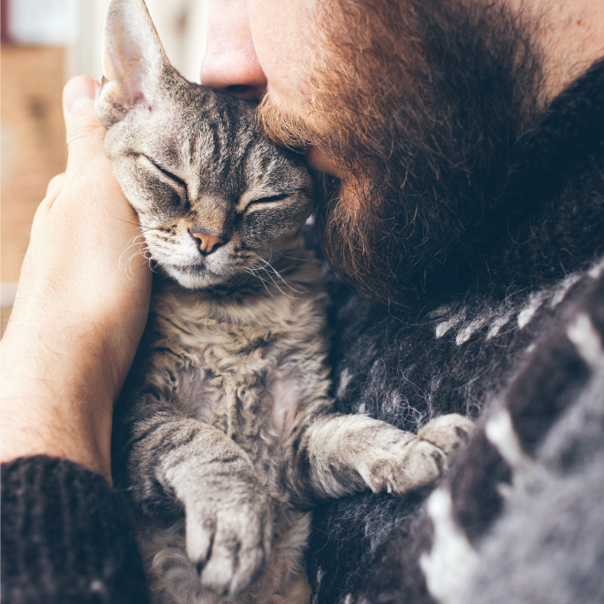 Mies suukottaa kissan päätä