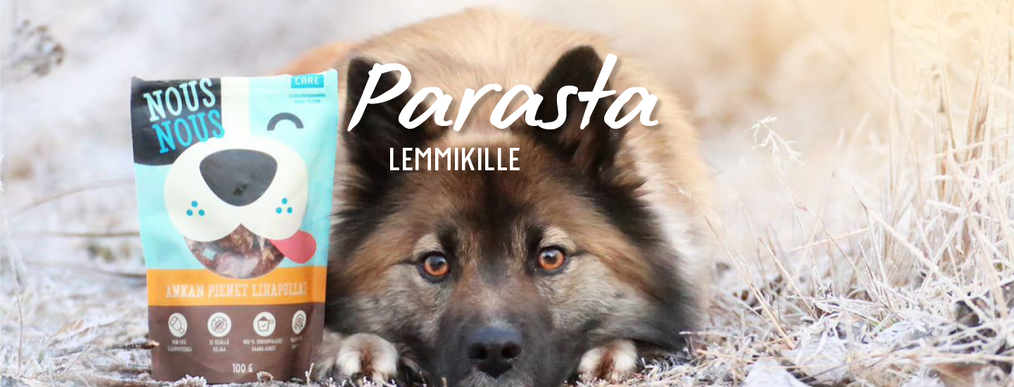 Parhaat herkut lemmikille