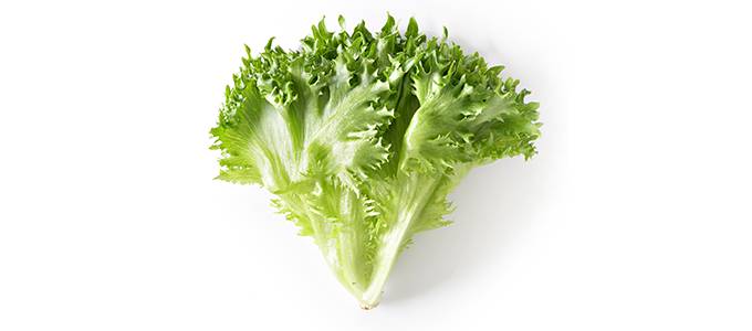 Jääsalaattia valkoisella taustalla.