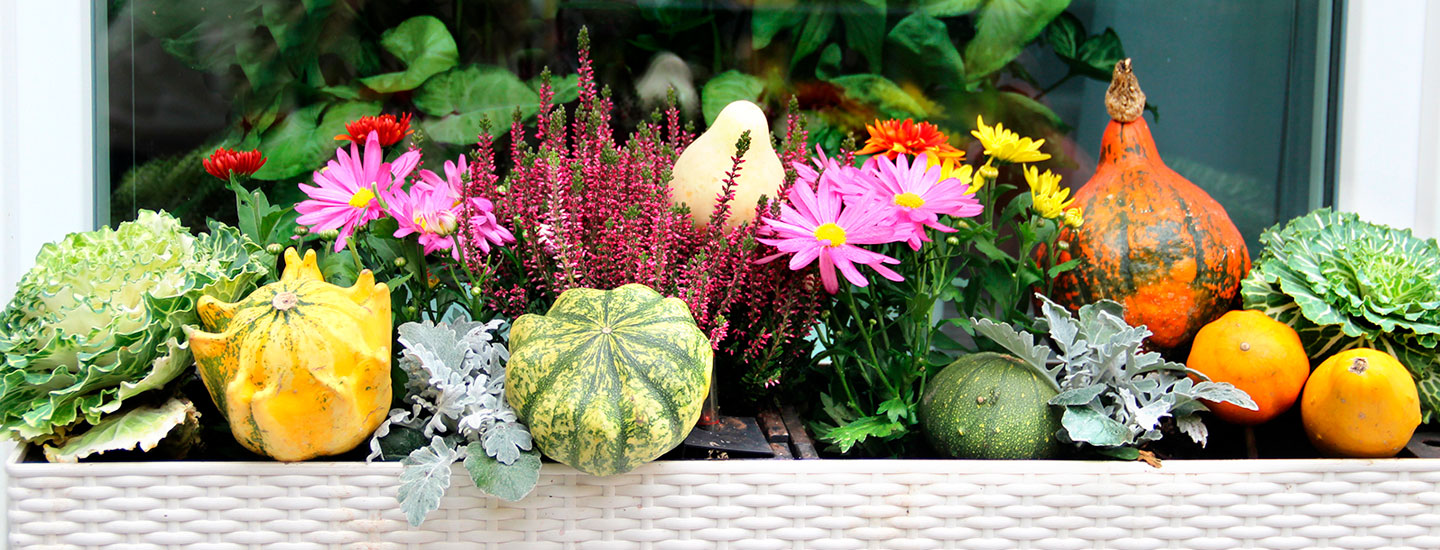 Upeat syyskukat - yhdistele ennakkoluulottomasti