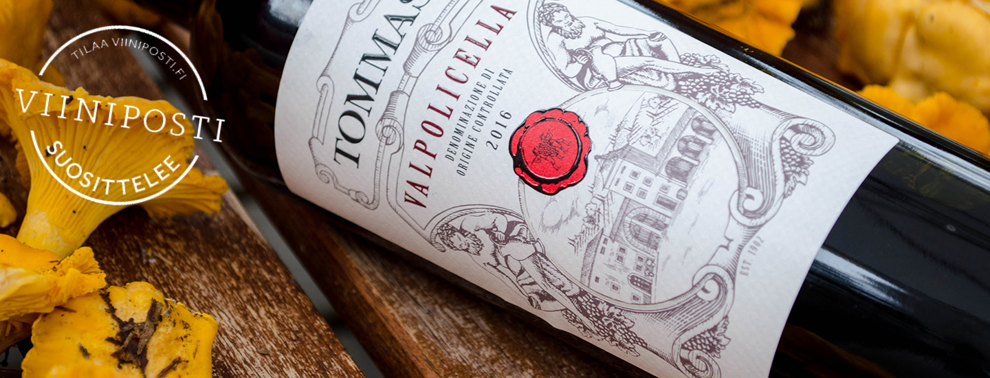 Millainen viini sopii sienille?