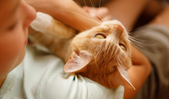 Cattia Vegetal kuvituskuva2 Kesko 680x400