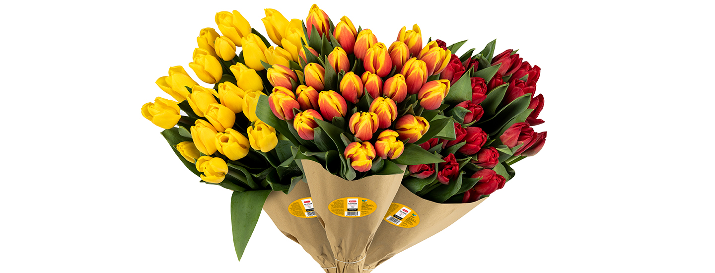 Pakkaus sanoo ”bio”− mitä sille tehdään?