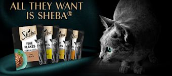 Sheba Brand Store 680x300