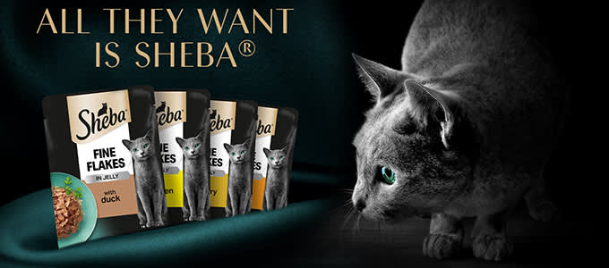 Sheba Brand Store 680x300