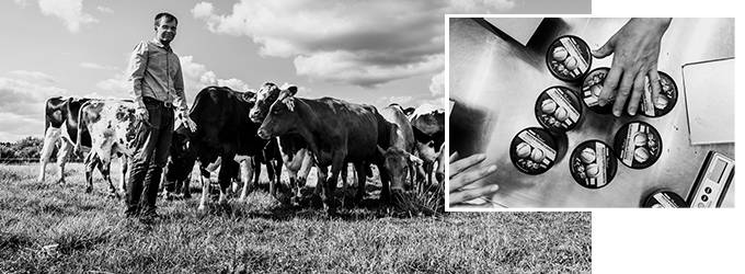 Pirkka juttukuva oik.ruudulla