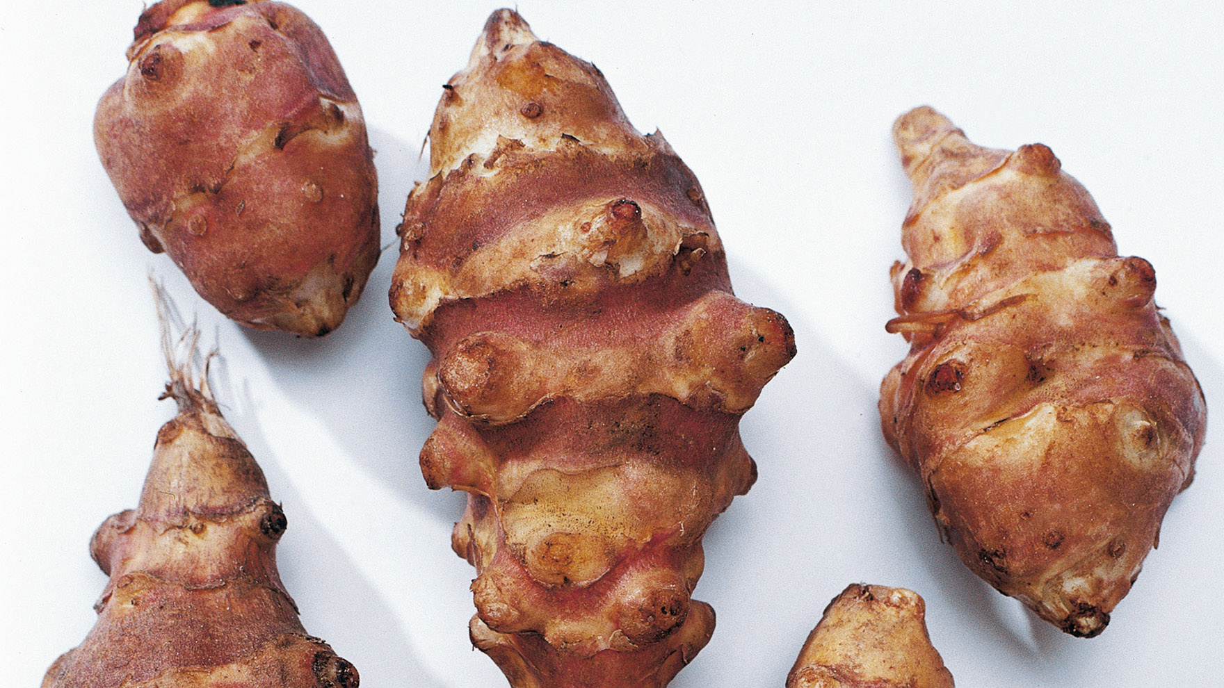 maa-artisokka-header-image