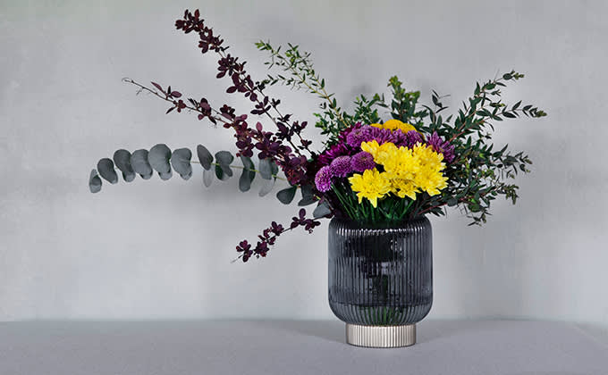 krysanteemikimput renesanssi 680