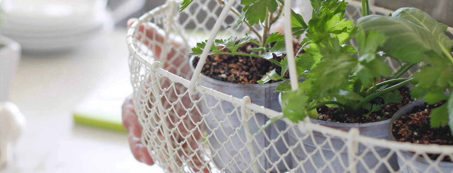 Ruokatrendit 2019: Hyvinvoiva arki