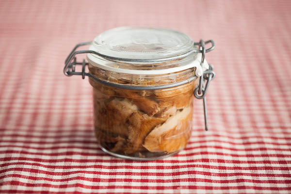 178_suolasienet_kuvituskuva_620-8