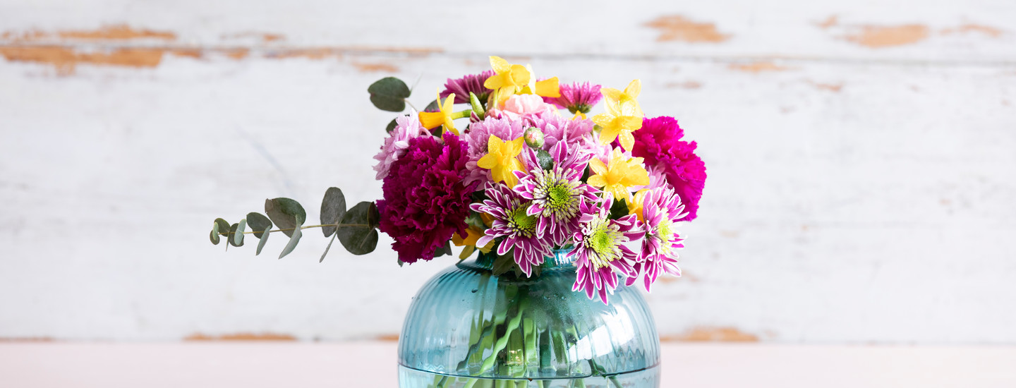 Pirkka-leikkokukkien hoito-ohjeet