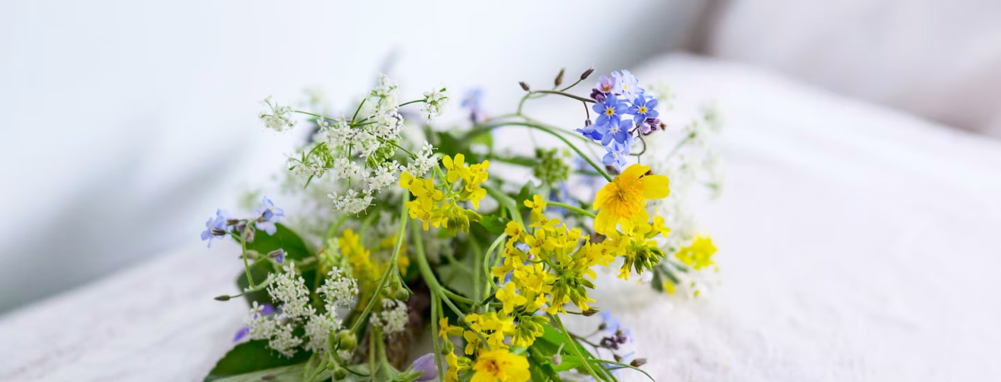 juhannustaiat-header-image