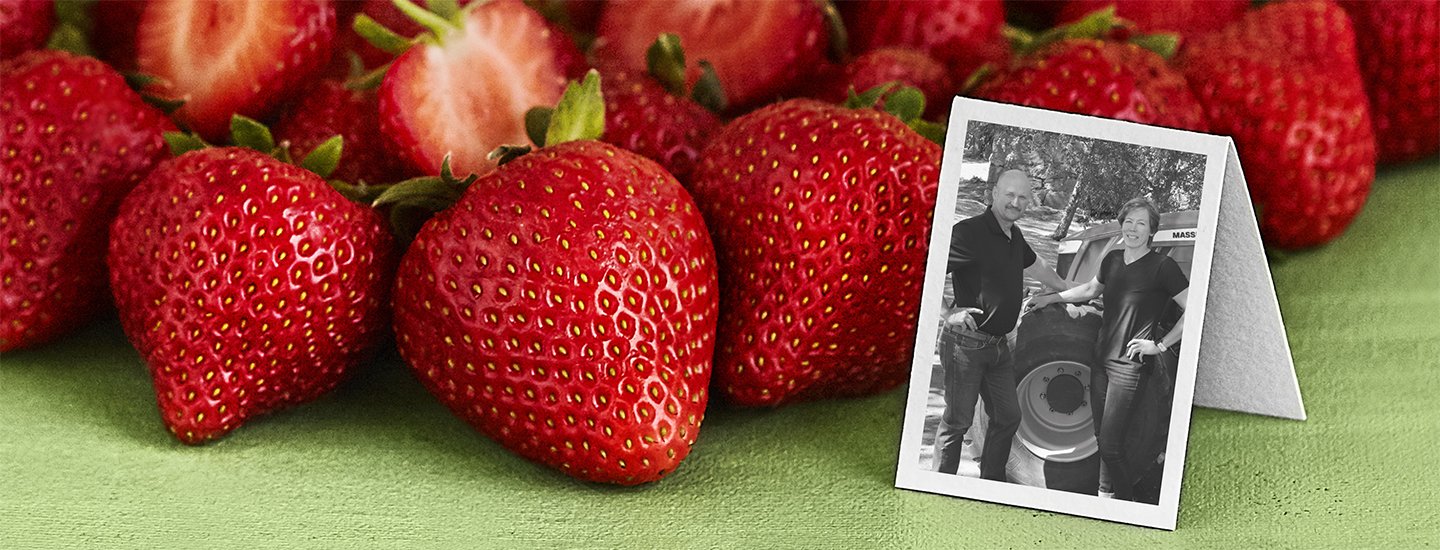 Suomalaista Pirkka mansikkaa Hästön tilalta