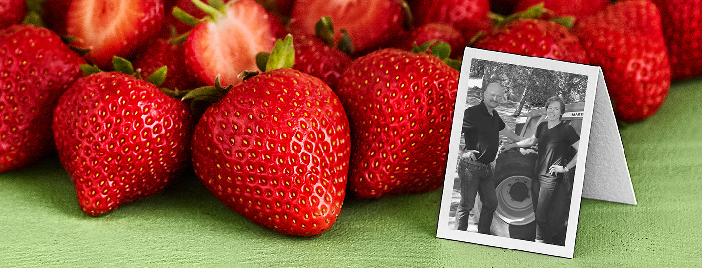 Suomalaista Pirkka mansikkaa Hästön tilalta