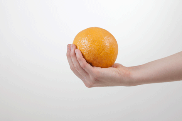 028_hedelmien_kypsyyskoulu_appelsiini