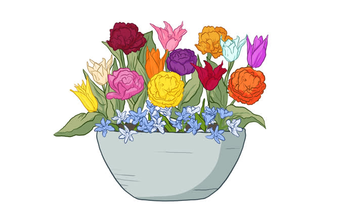 kukkasipulien ruukkuistutus2 680