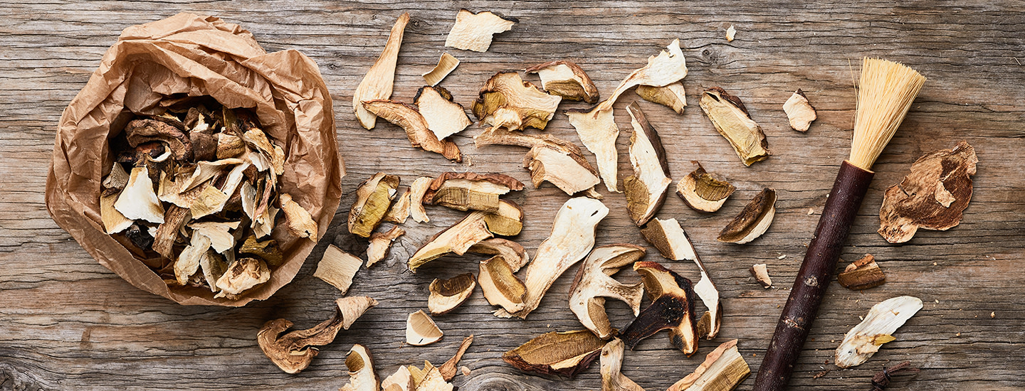 sienien kuivaaminen 1440 x 550