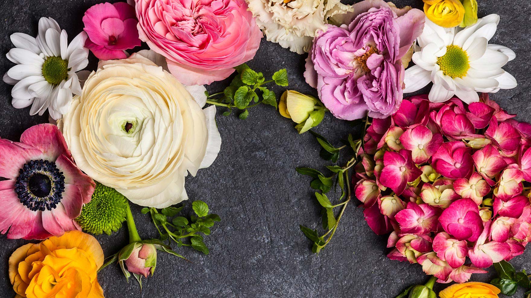 Elinikää leikkokukille - katso 7 vinkkiä