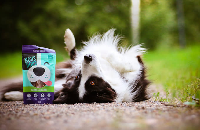 nousnous-kananlihatikut-sopivat-myös-herkkävatsaisille