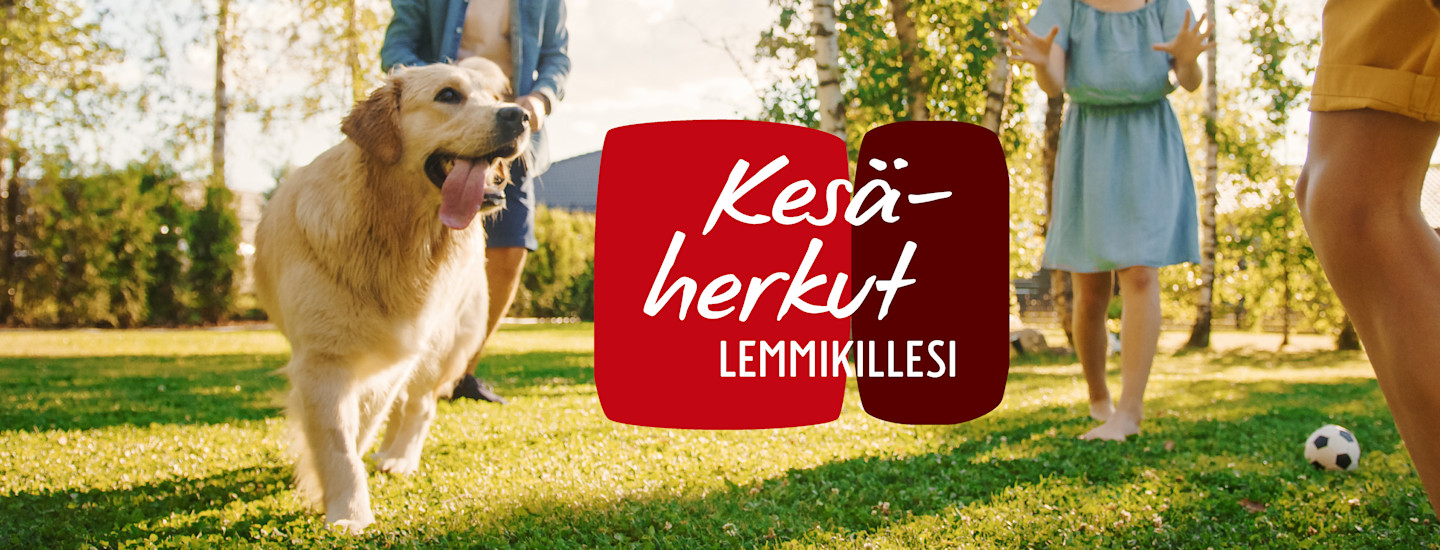 Kesäherkut lemmikillesi